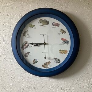 Frog Illustration Wall Clock with Blue Frame